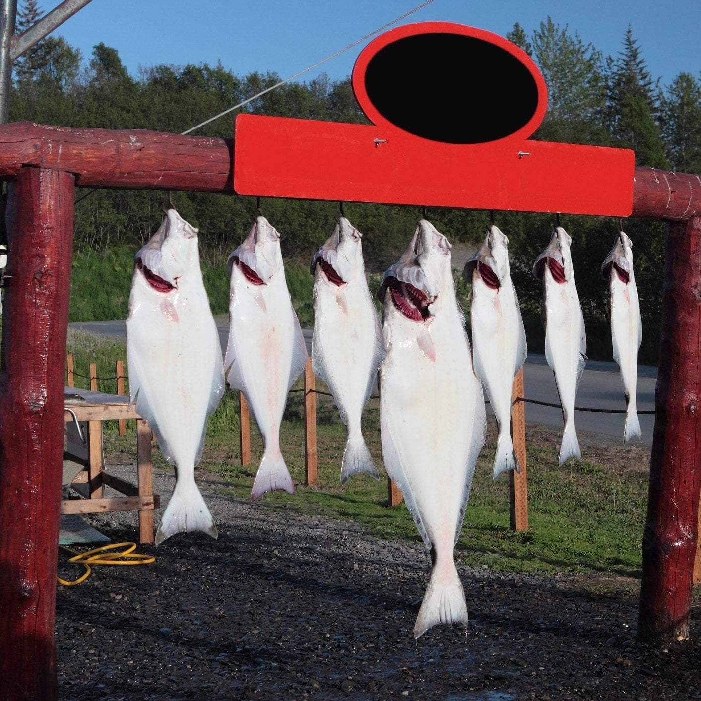 Health Benefits of Halibut | GlobalSeafoods