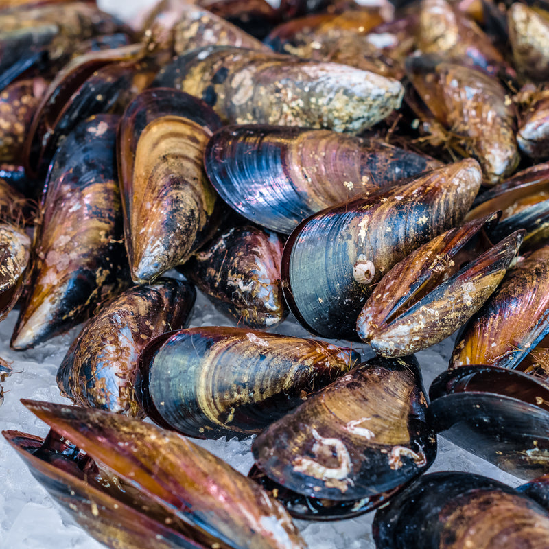 Mussels: A Seafood Lover's Dream