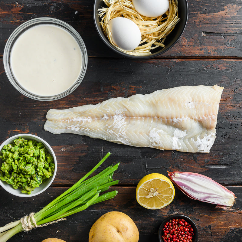 Ling Cod Bonanza
