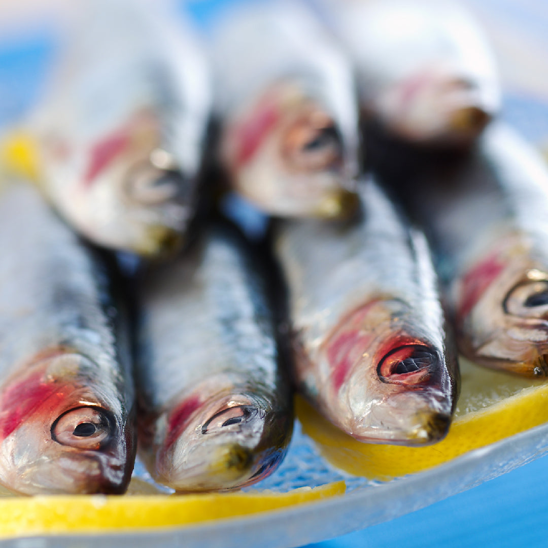 Sardine Pasta Recipe: An Italian Classic