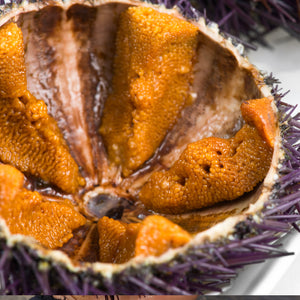 How to Pair Wine with Sea Urchin Sushi: A Comprehensive Guide