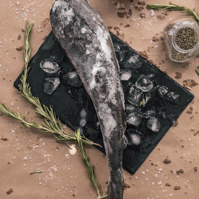 Wholesale Alaskan Sablefish | Headed & Gutted | Bulk Order